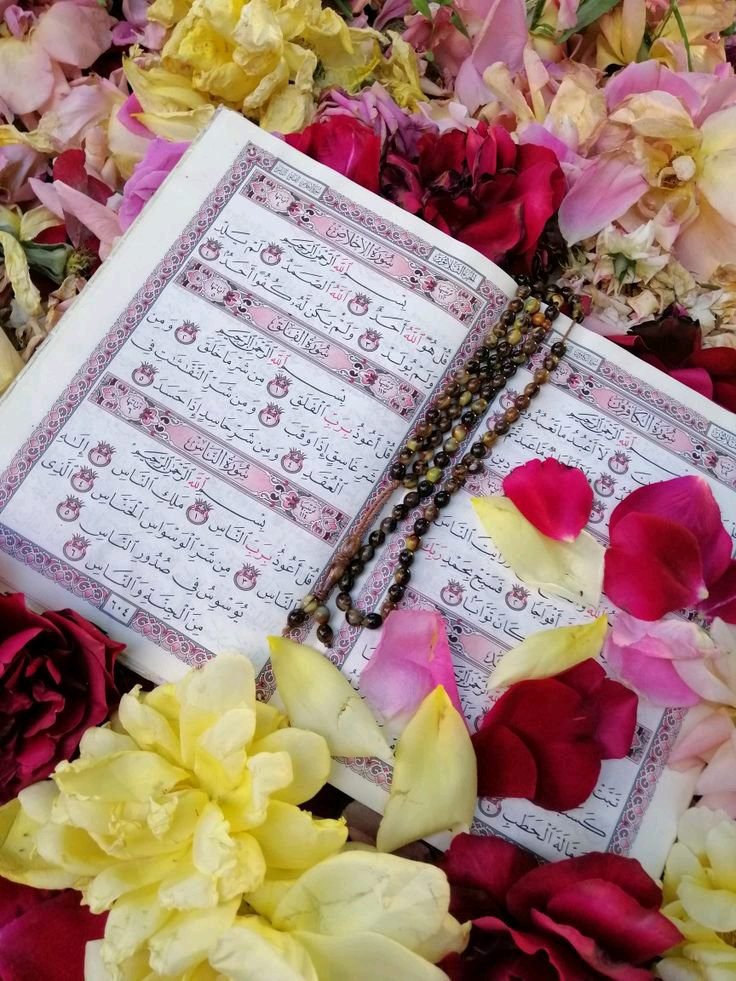 د هدایت لار