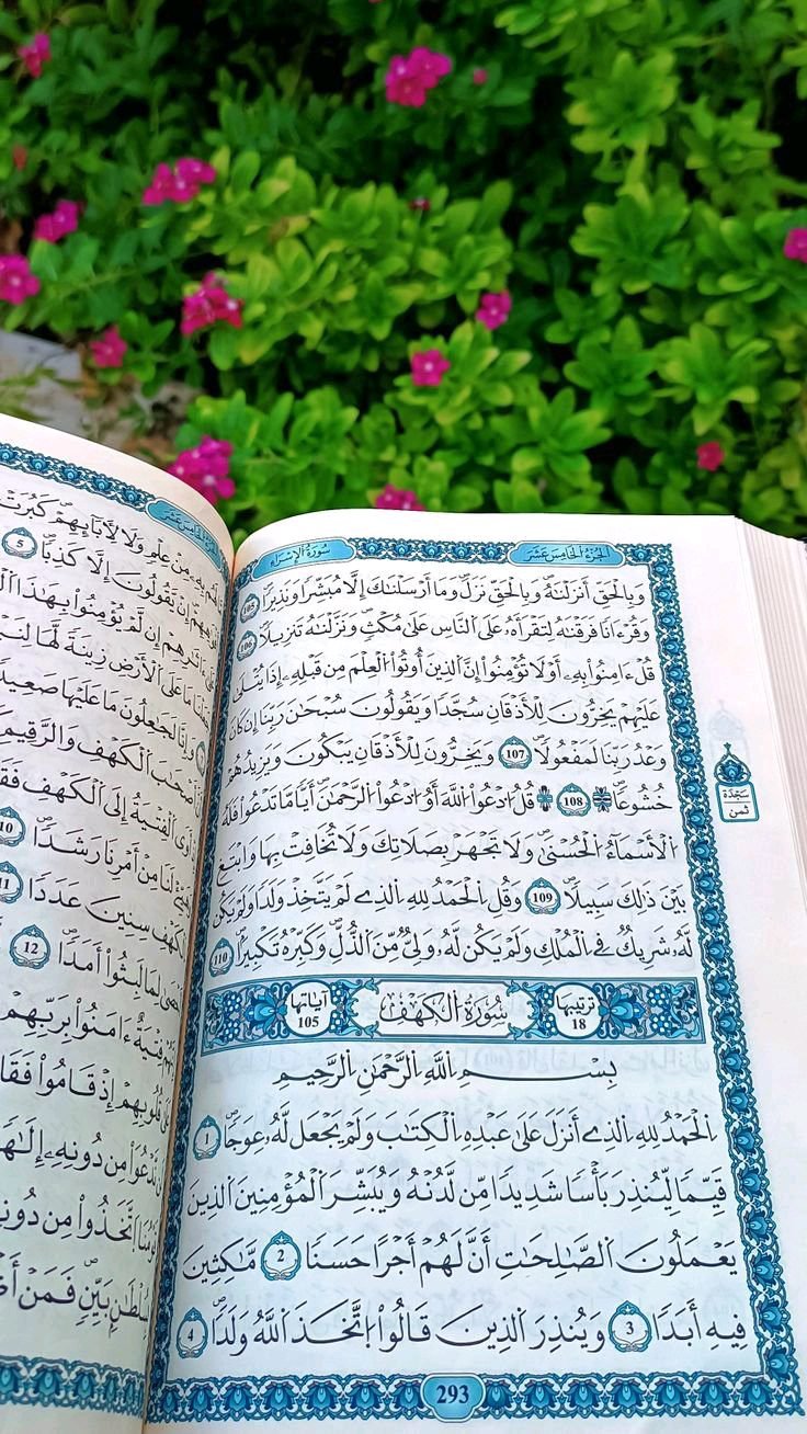 د هدایت لار