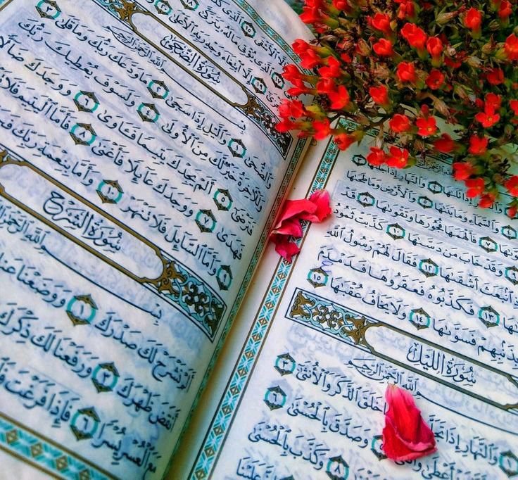 د هدایت لار