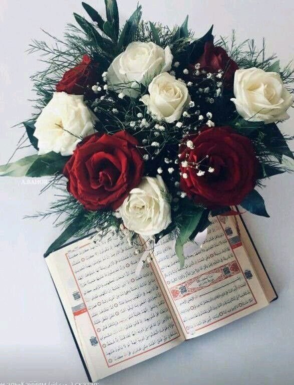 د هدایت لار