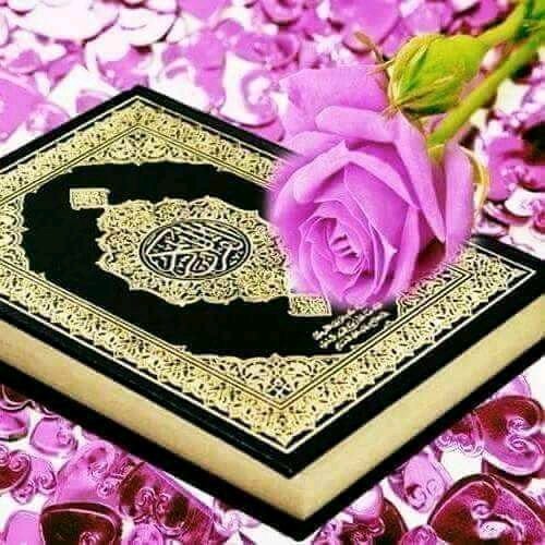 د هدایت لار