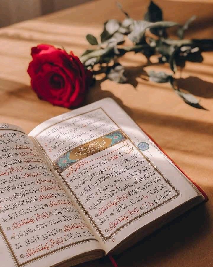 د هدایت لار