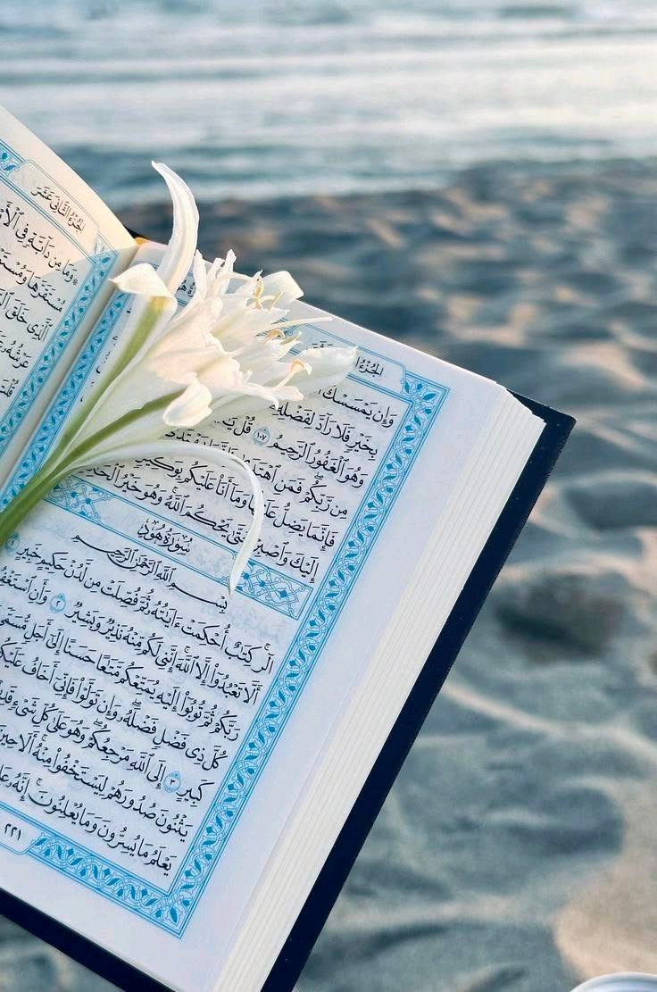د هدایت لار