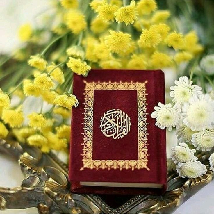 د هدایت لار