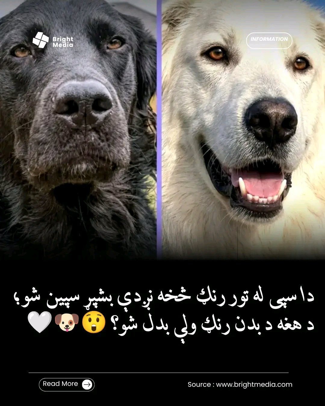 ریس خادیم