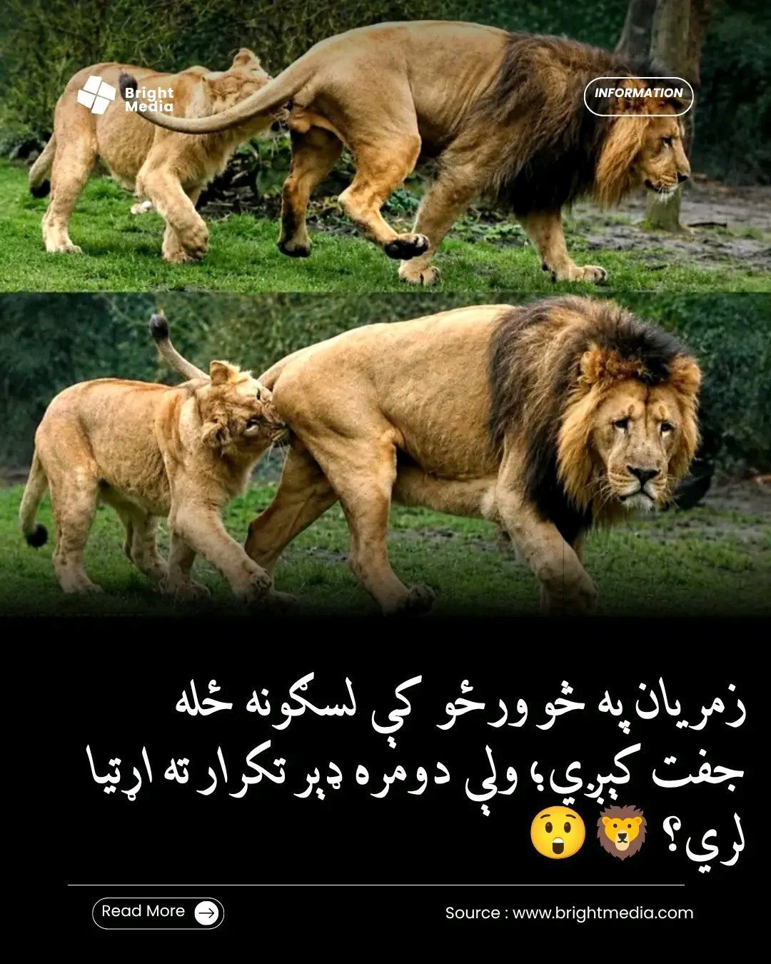 ریس خادیم