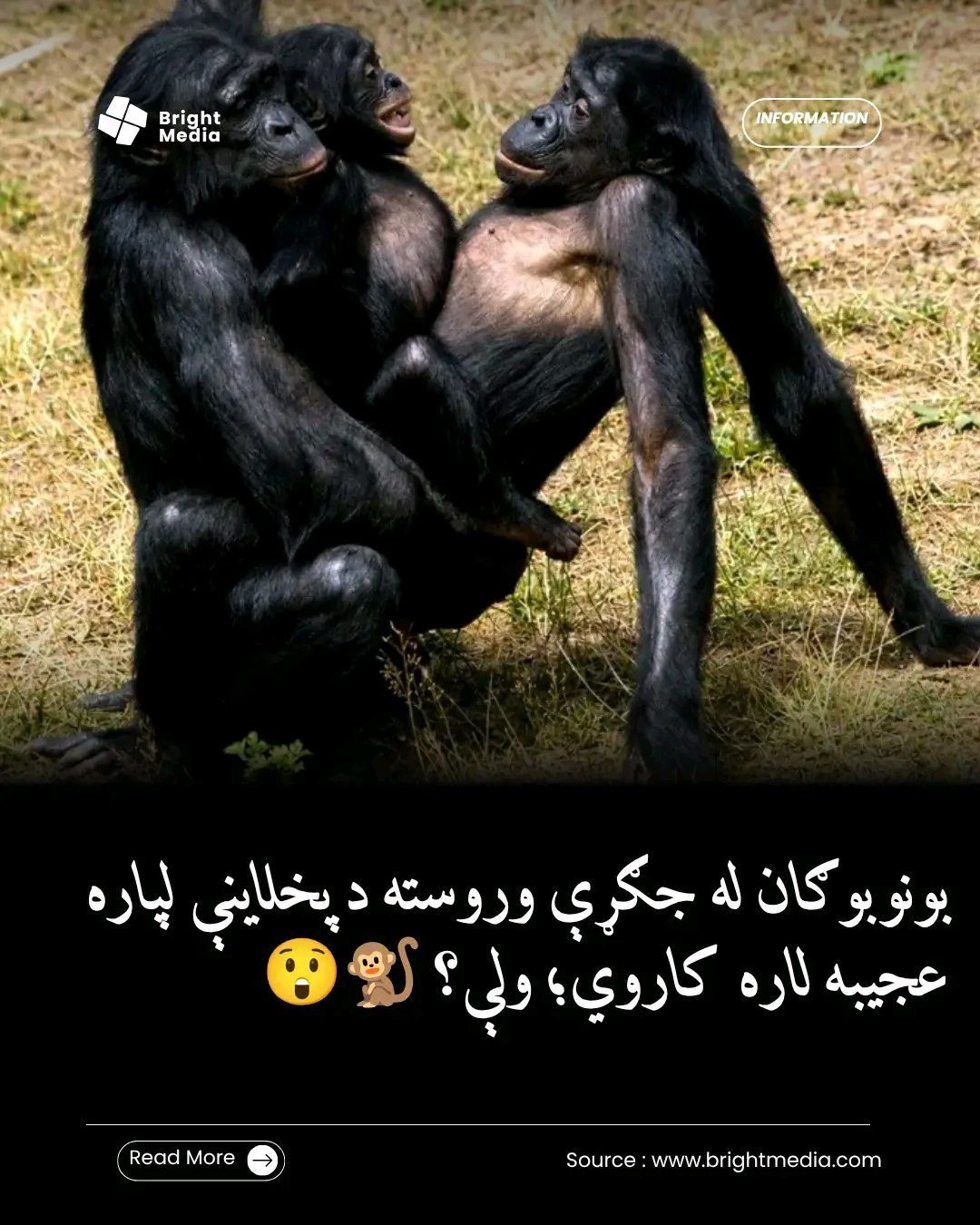 ریس خادیم
