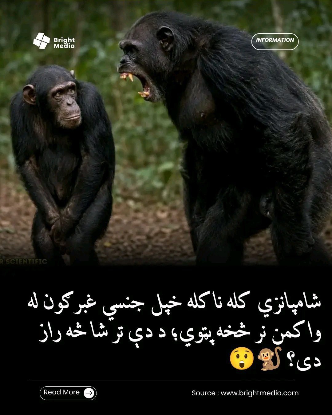 ریس خادیم