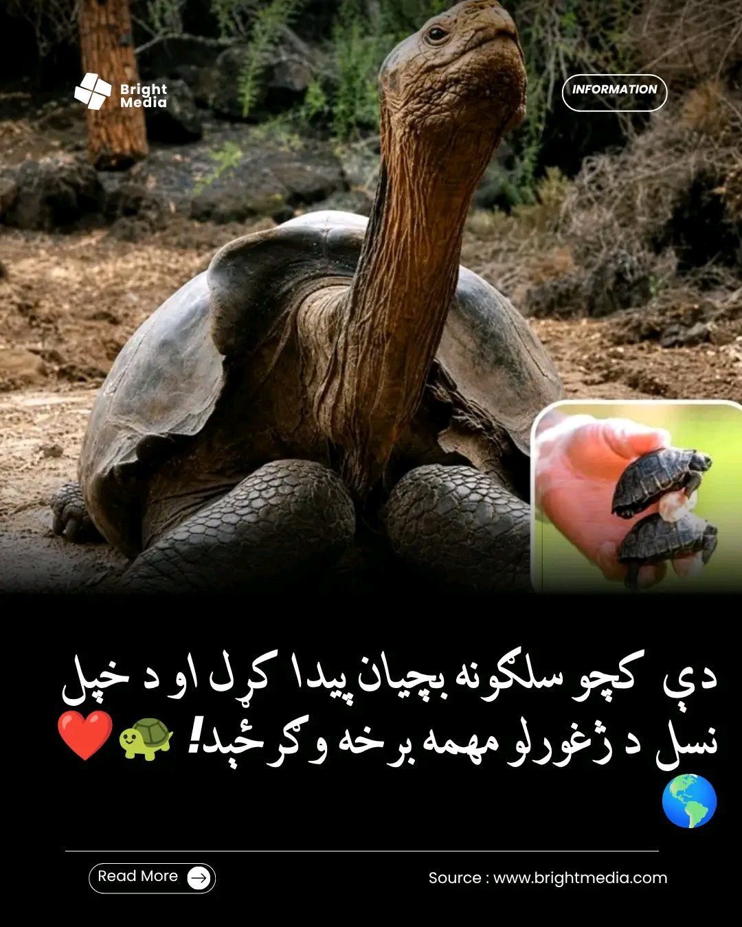 ریس خادیم
