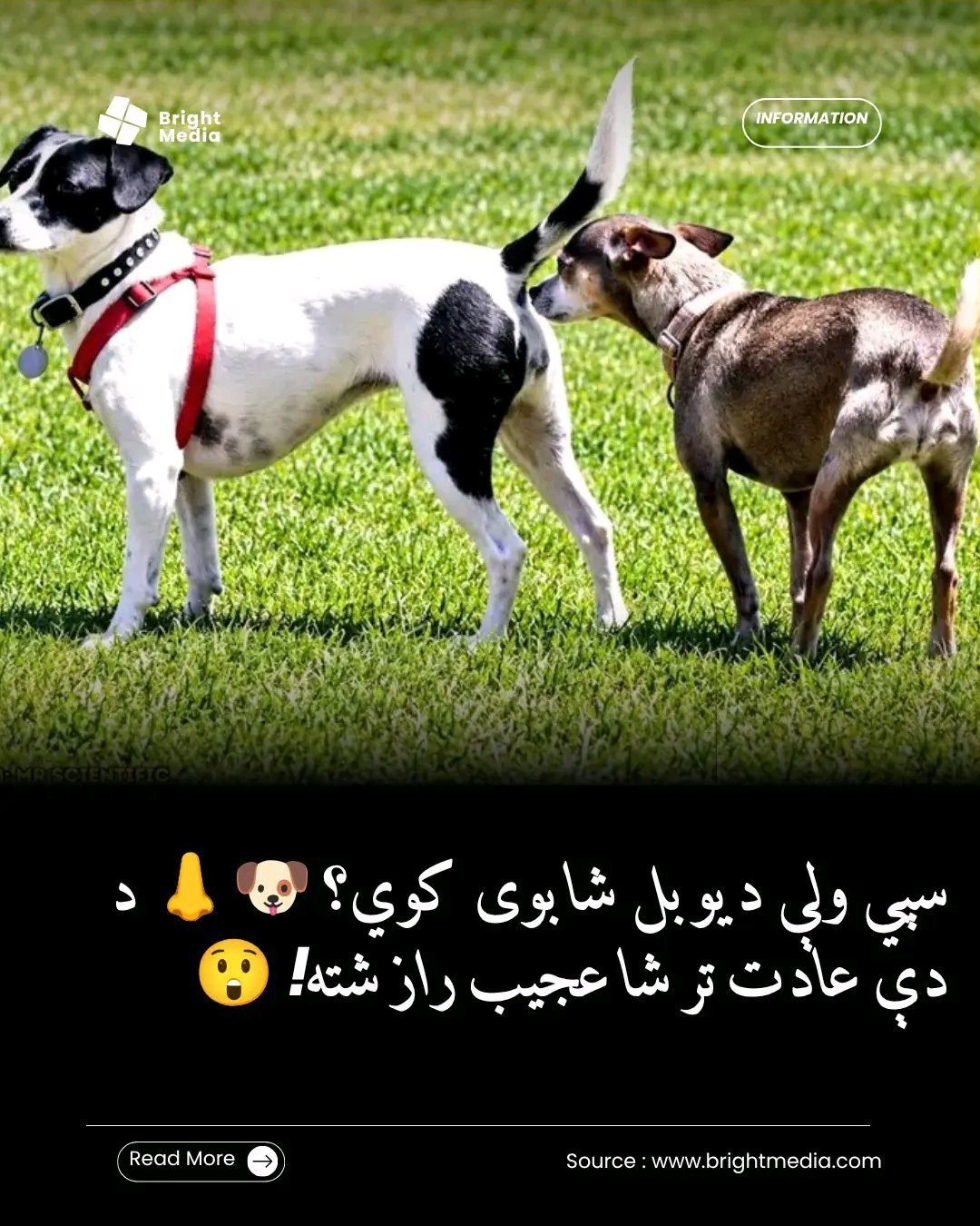 ریس خادیم