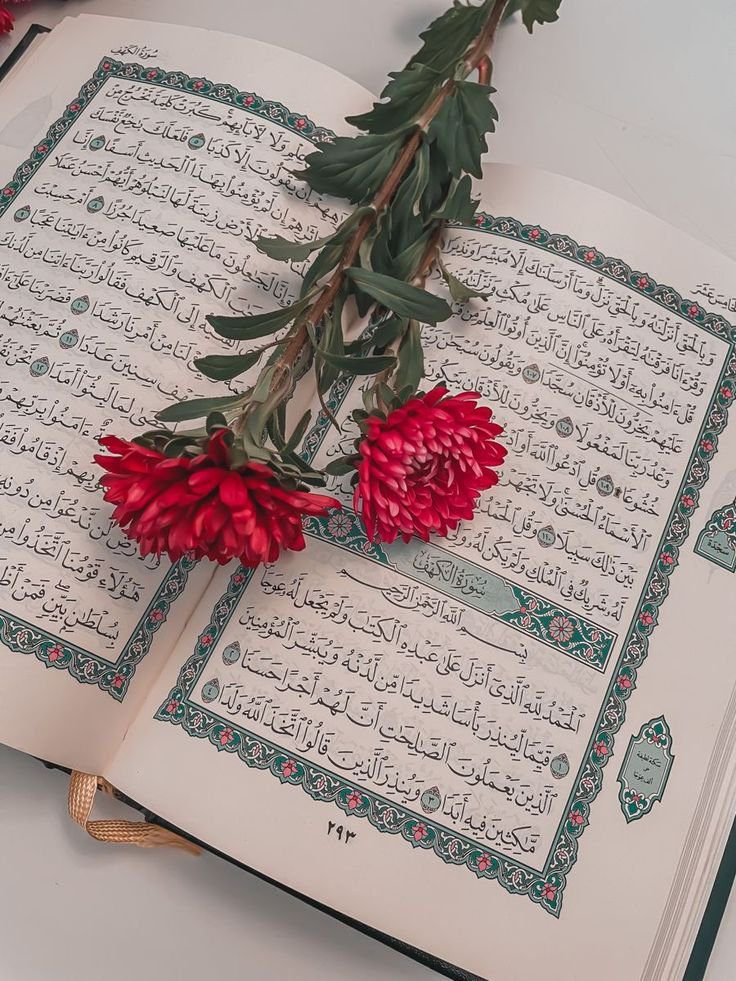 د هدایت لار