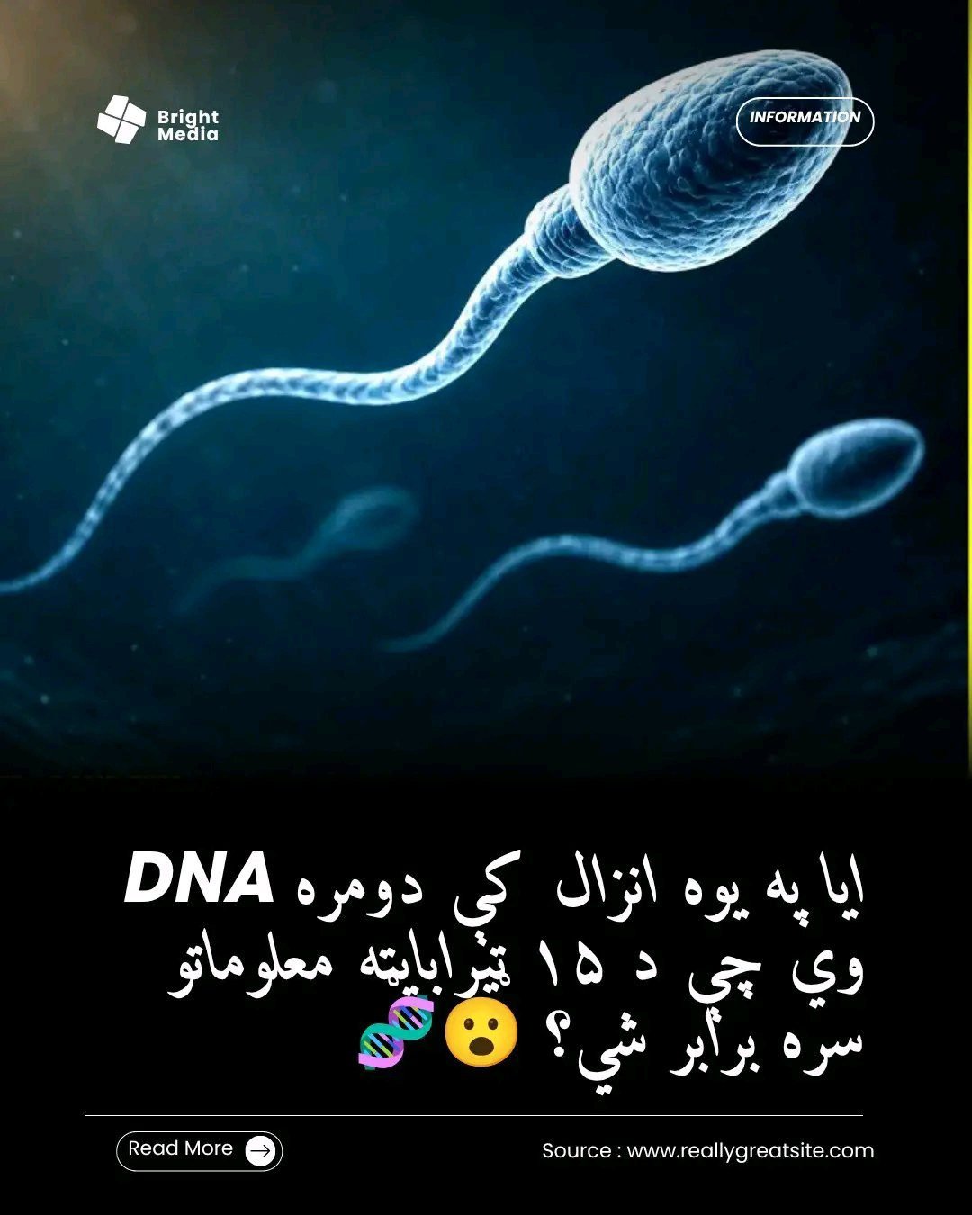 ریس خادیم