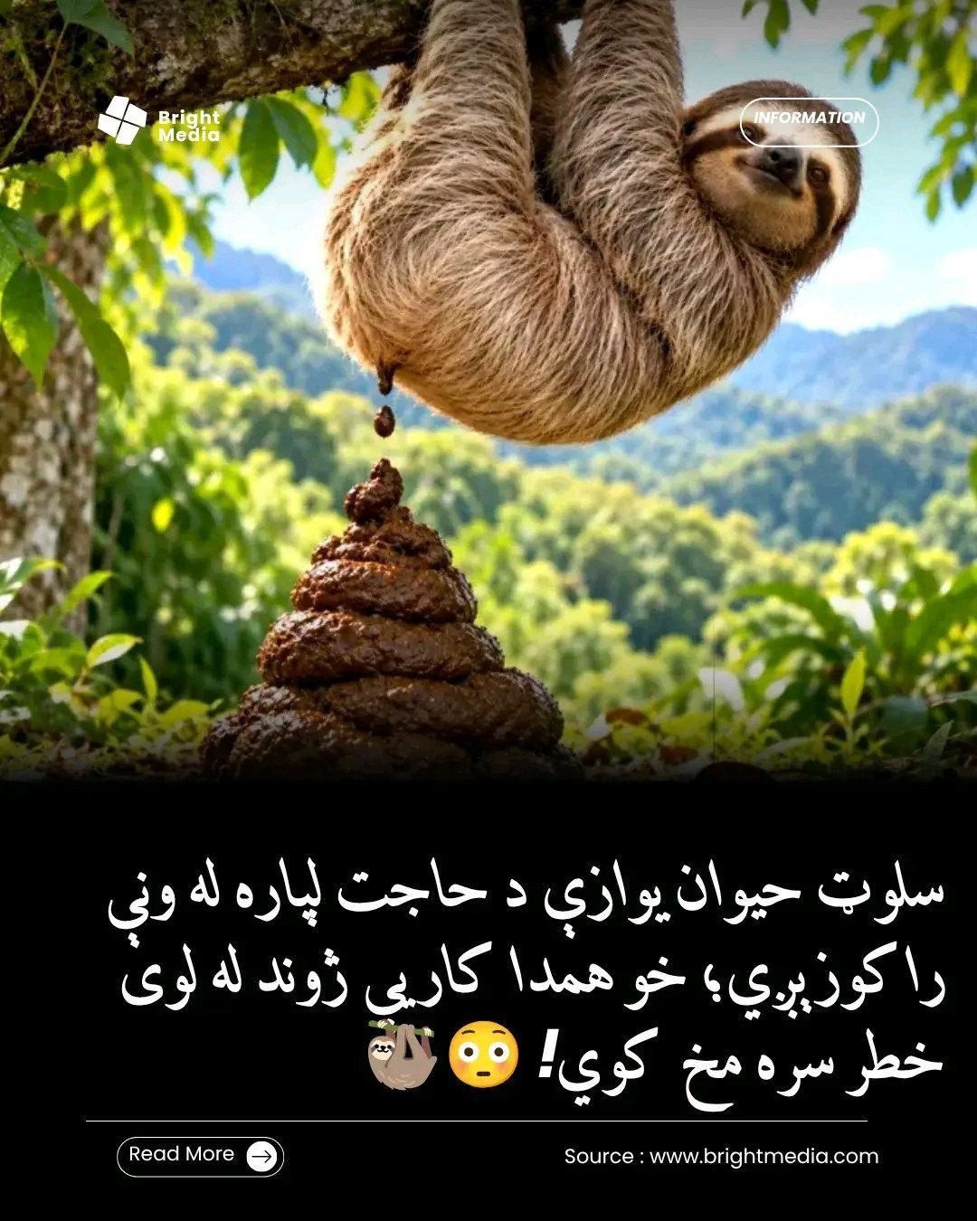 ریس خادیم