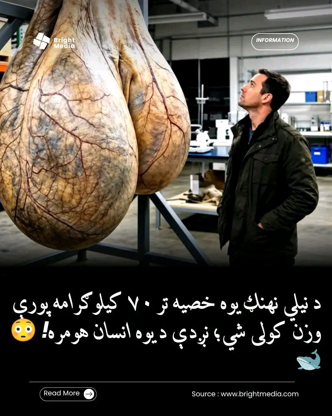 ریس خادیم