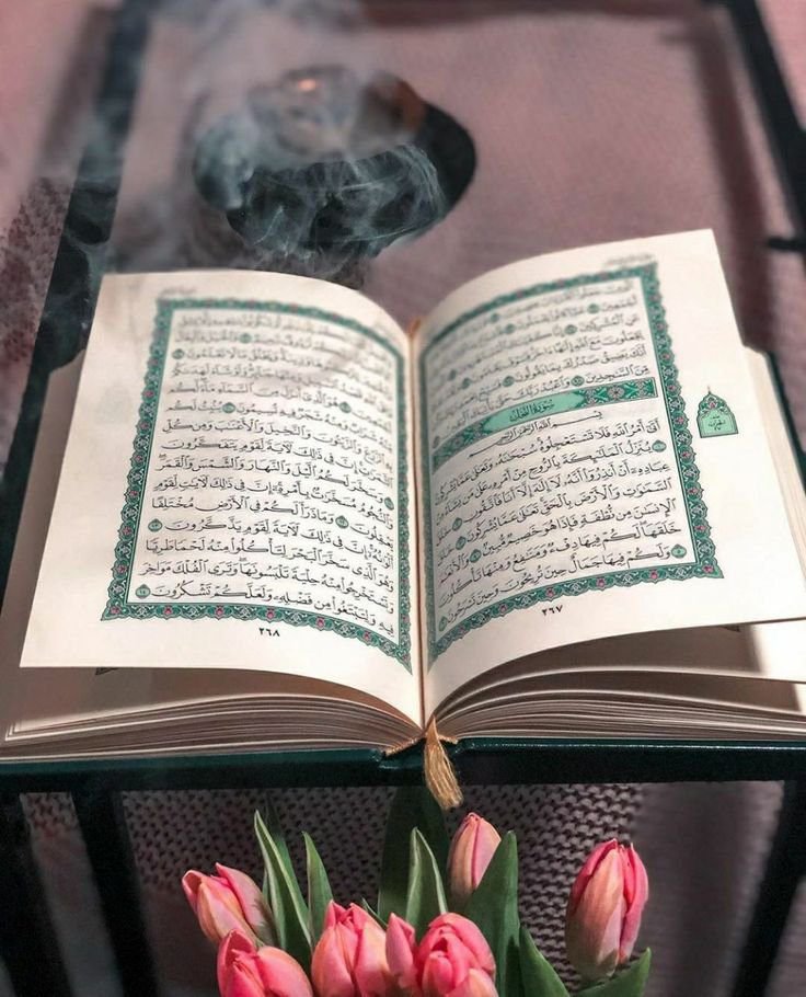 د هدایت لار
