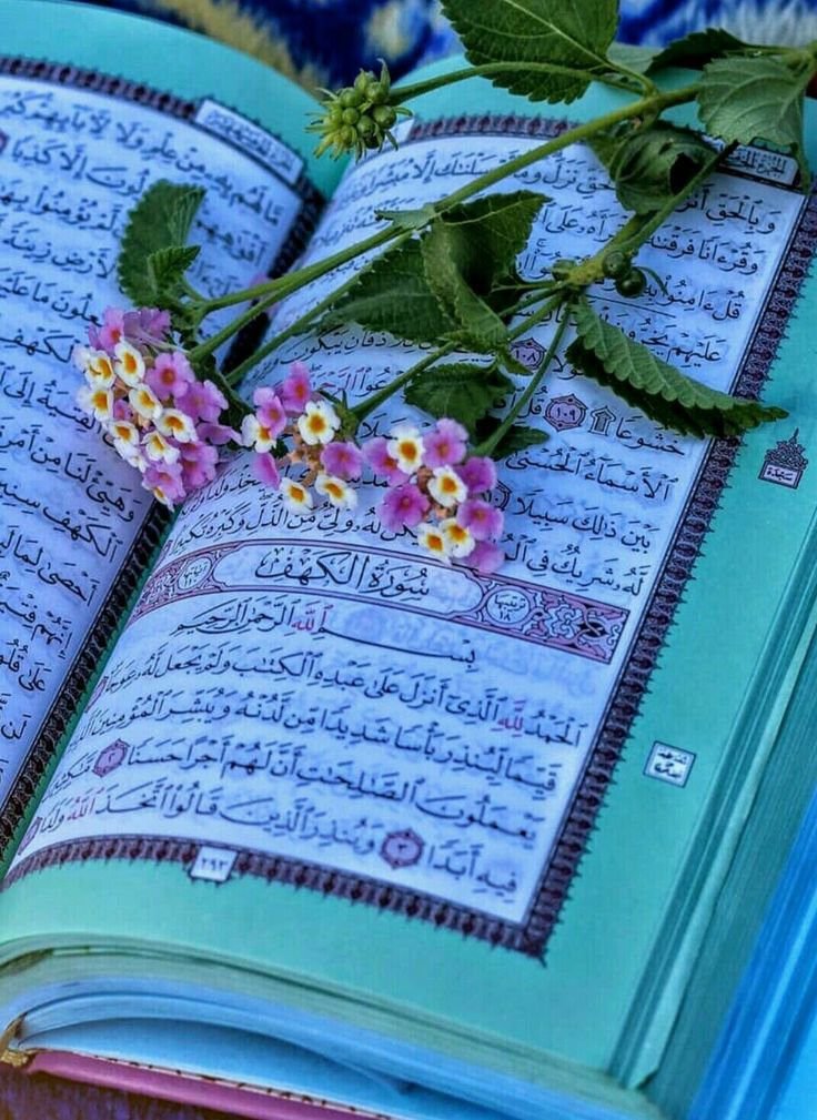 د هدایت لار