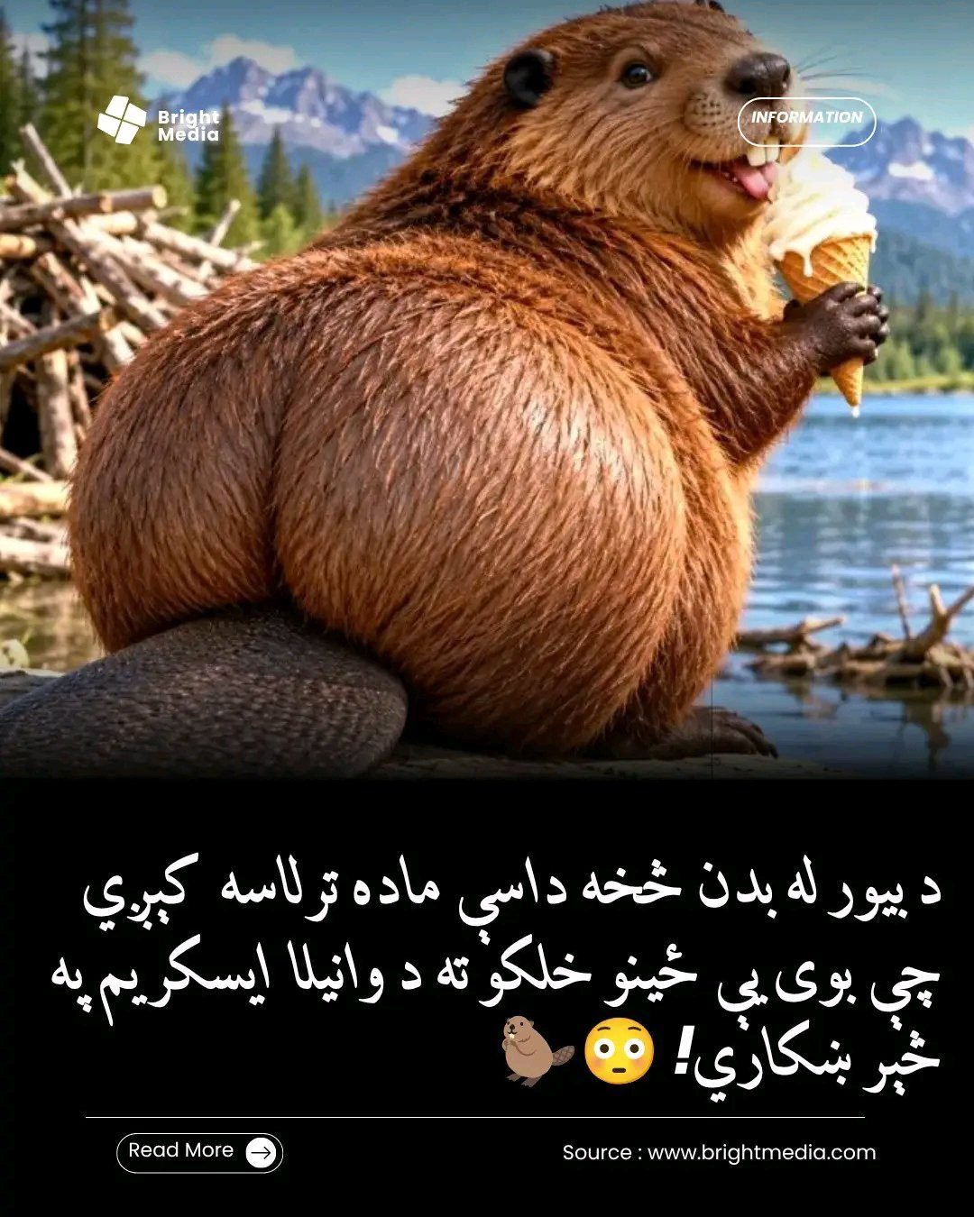 ریس خادیم
