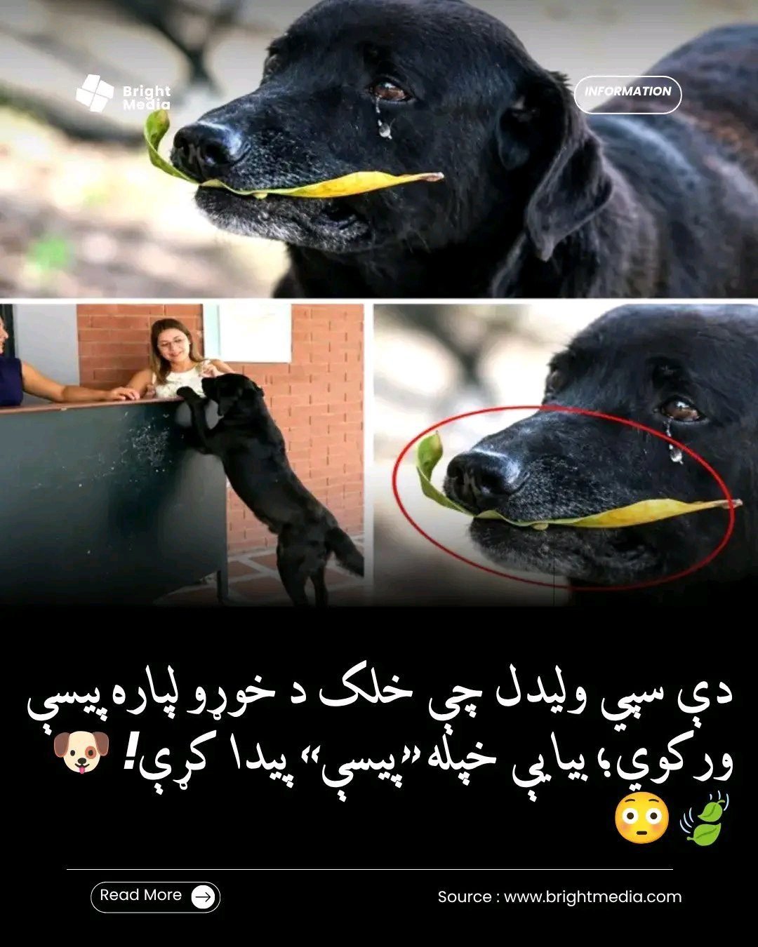 ریس خادیم