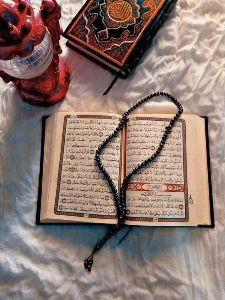 د هدایت لار