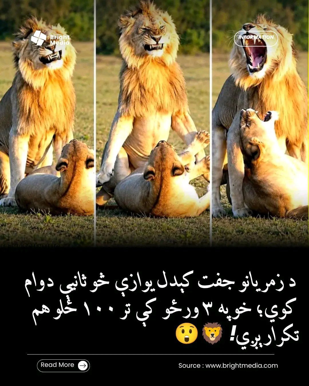 ریس خادیم