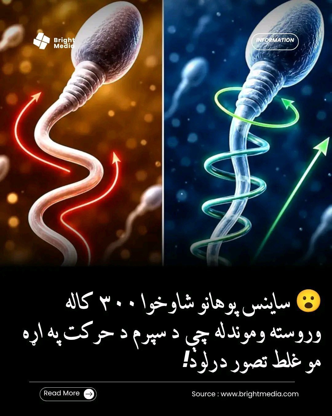 ریس خادیم