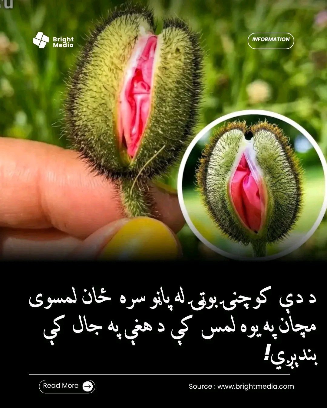 ریس خادیم
