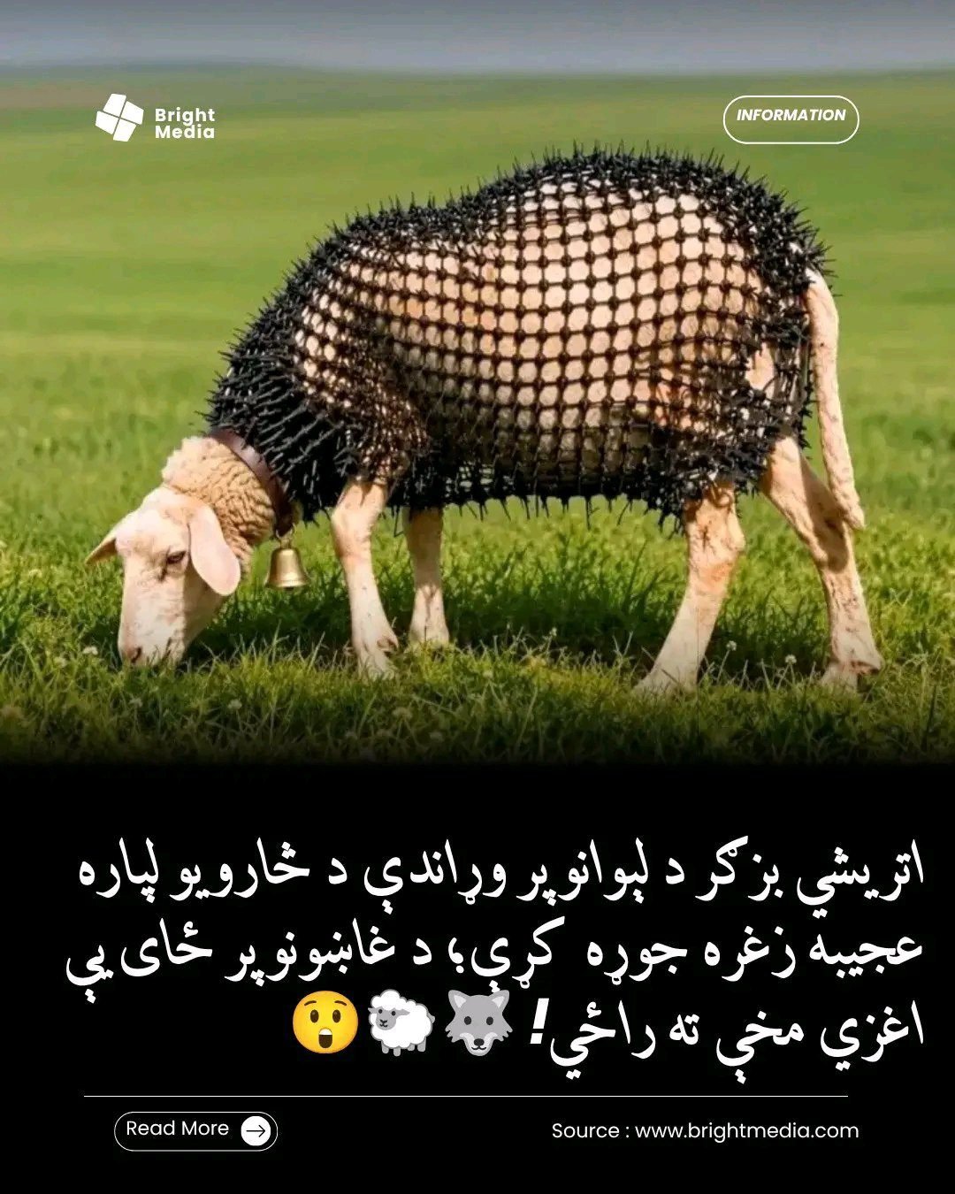 ریس خادیم