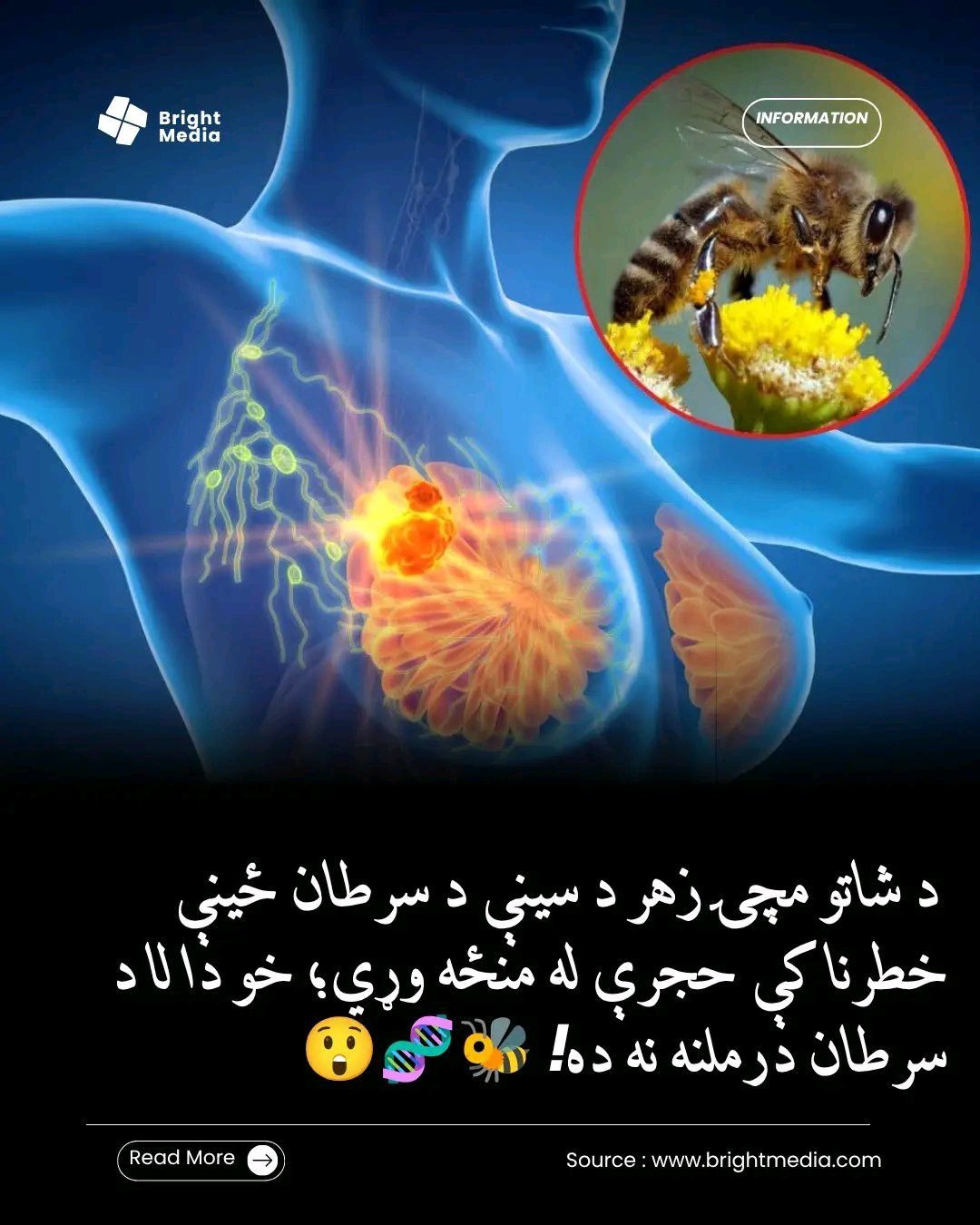 ریس خادیم