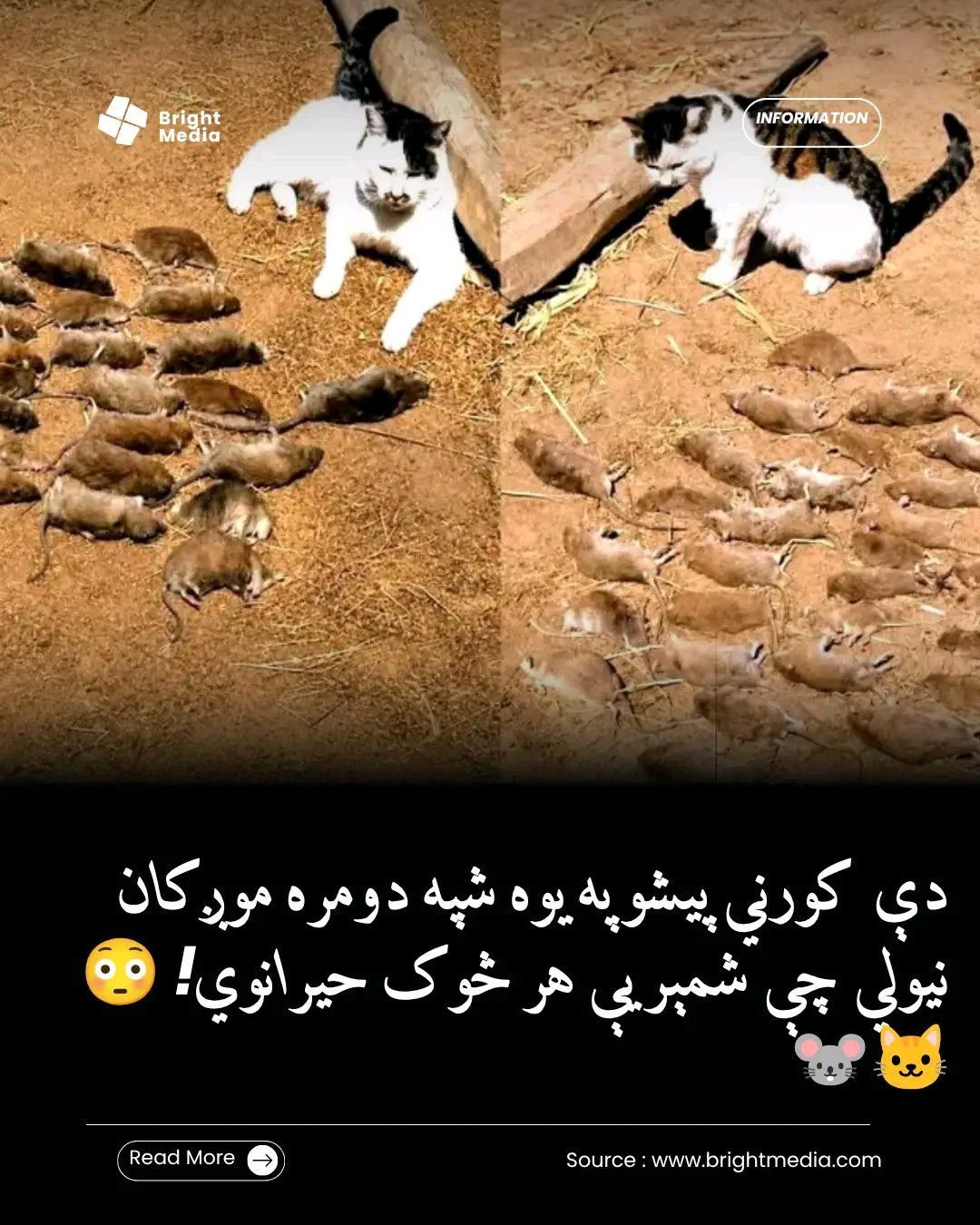 ریس خادیم