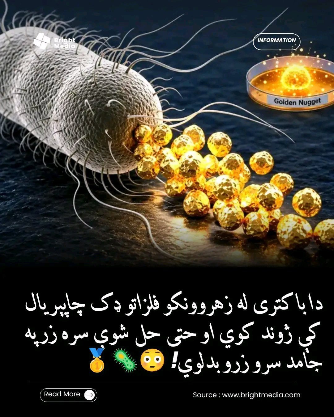 ریس خادیم