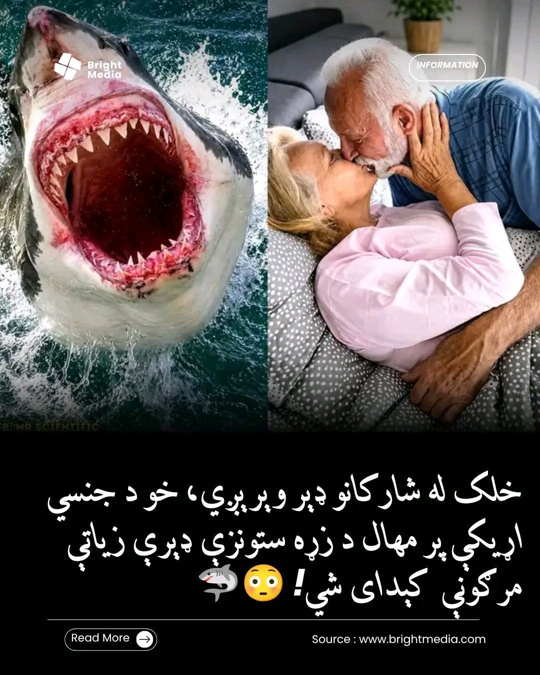 ریس خادیم