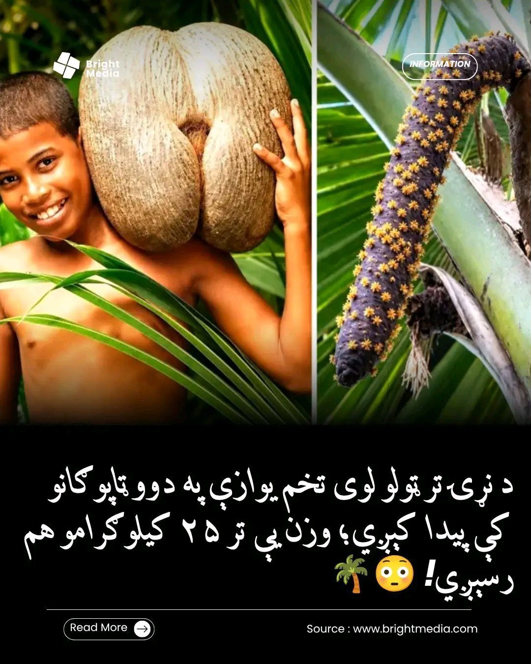 ریس خادیم