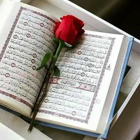 د هدایت لار