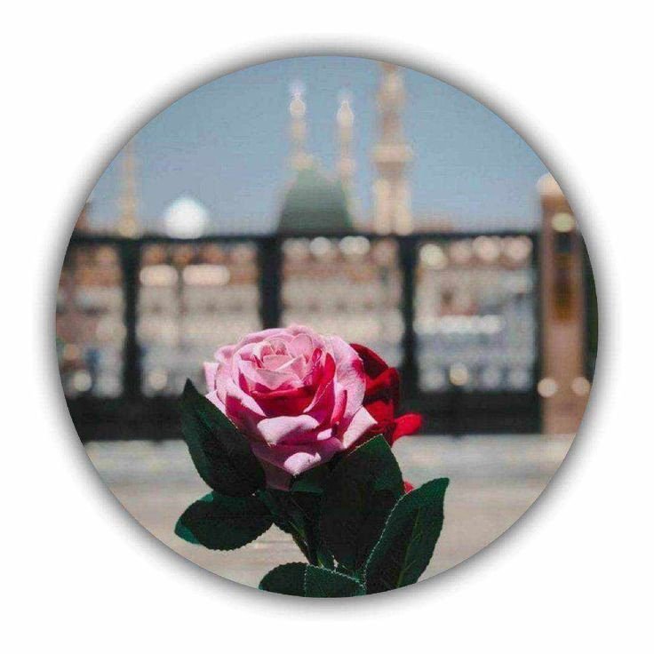 د هدایت لار