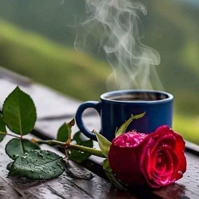 شاعر واحد ګل ملنګ