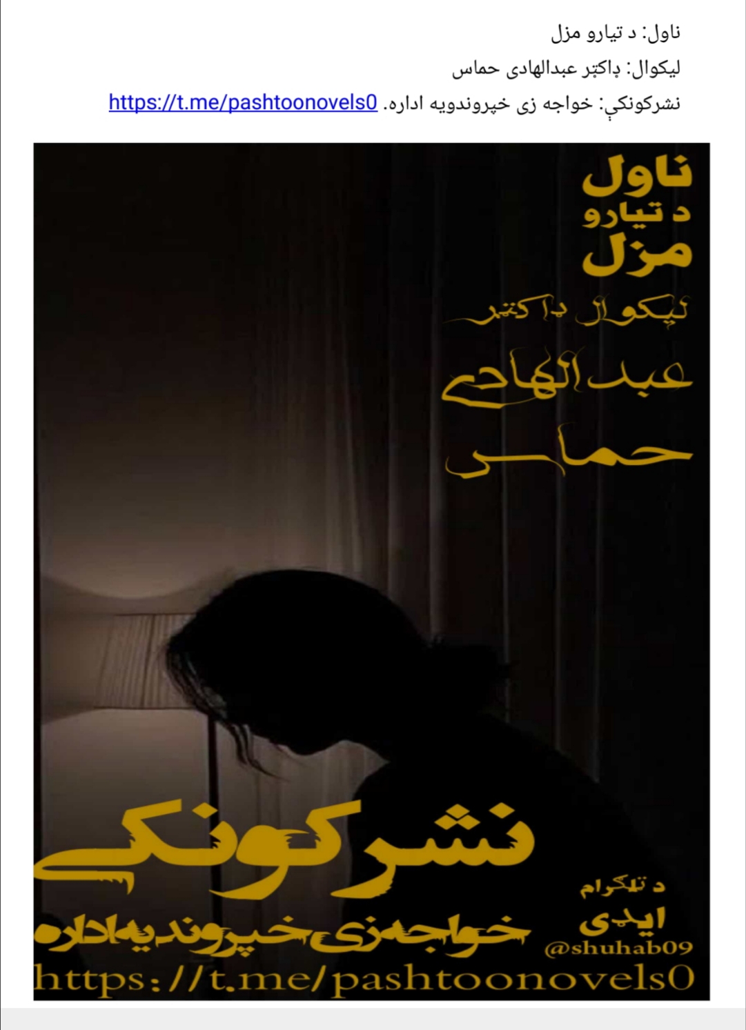 د تیارو مزل ناول