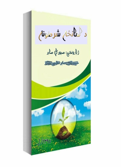 د لمانځه شرطونه