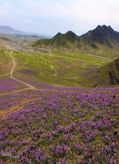 لسم اولسمشر