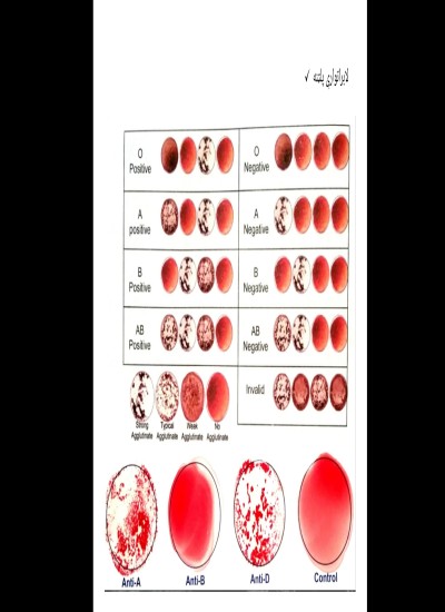 د وینی ګروپونه