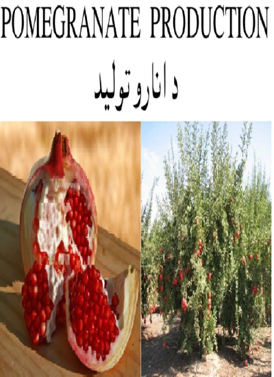 د انارو تولید