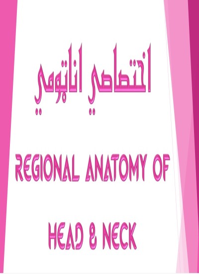 Anatomy اناټومی