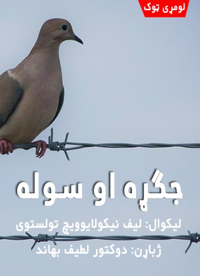 جګړه او سوله (لومړی ټوک)