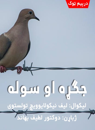 جګړه او سوله (درېیم ټوک)