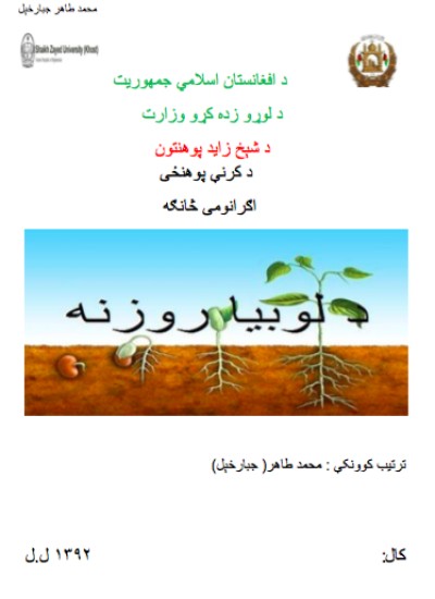 د لوبیا روزنه