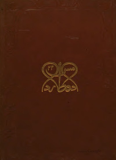 The Pathan Kings of Dehli